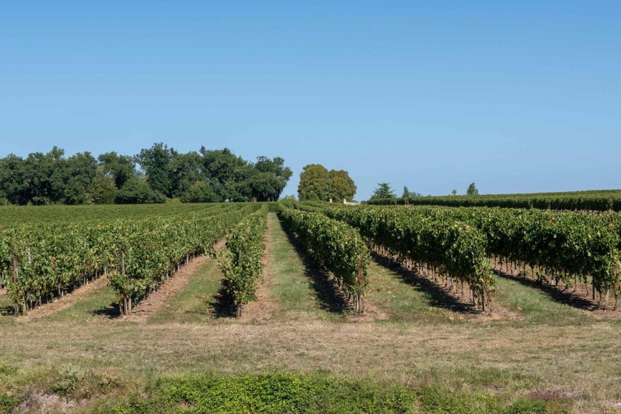 Bed and Breakfast L'Ilot Vignes Rauzan Экстерьер фото